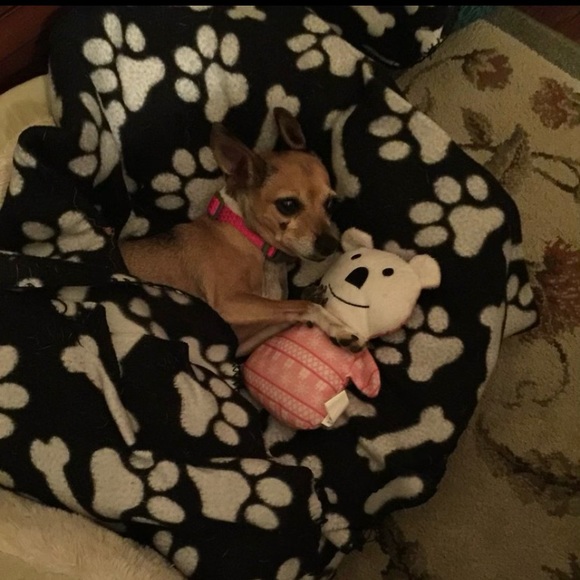 Meet your Posher, Melody - Picture 1 of 1